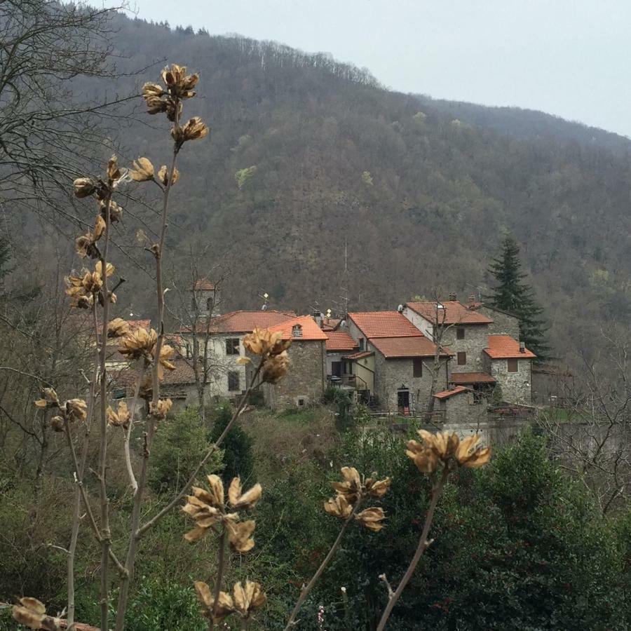 B&B Il Ghiro Castiglioni  Екстер'єр фото