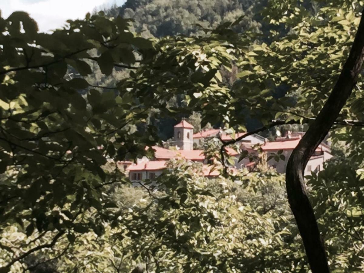 B&B Il Ghiro Castiglioni  Екстер'єр фото