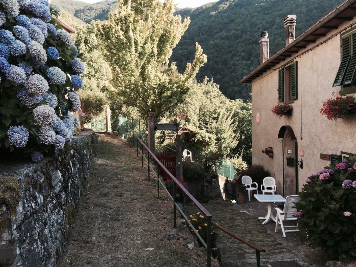 B&B Il Ghiro Castiglioni  Екстер'єр фото