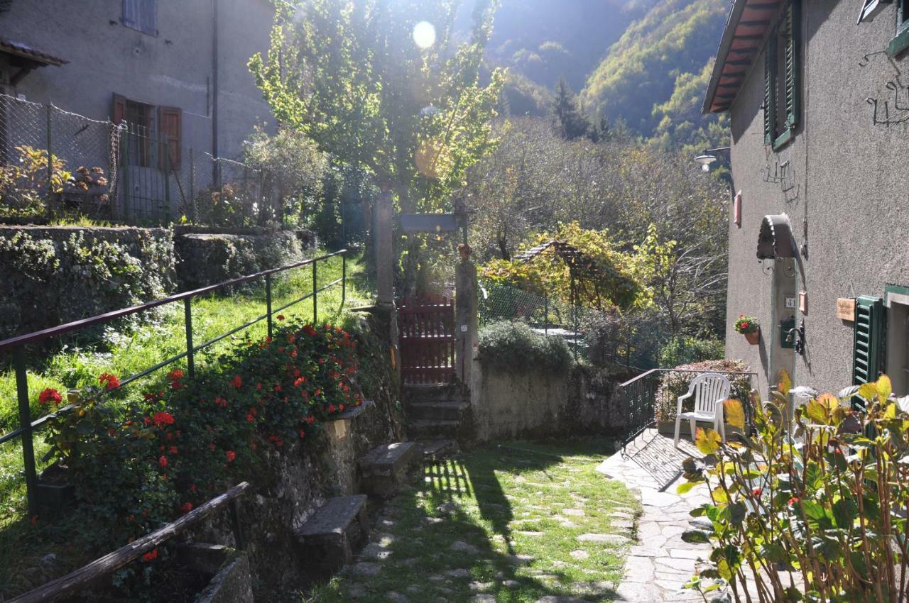 B&B Il Ghiro Castiglioni  Екстер'єр фото