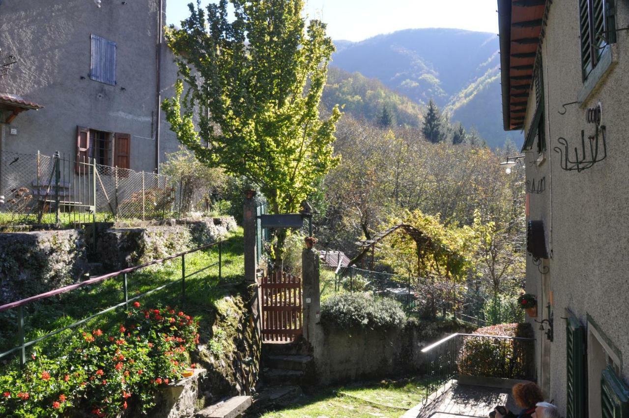 B&B Il Ghiro Castiglioni  Екстер'єр фото