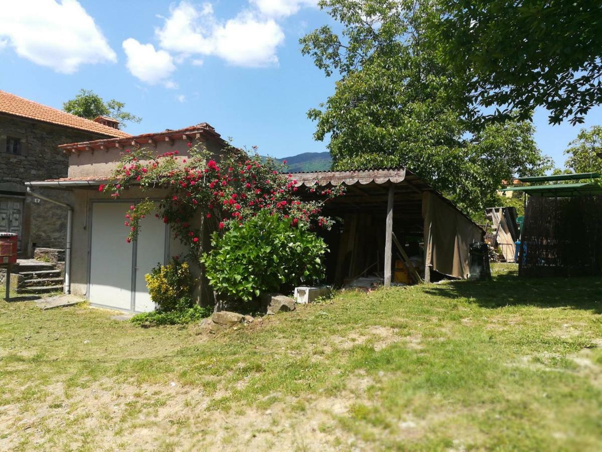 B&B Il Ghiro Castiglioni  Екстер'єр фото